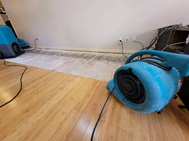 Professional Water Damage Repair technician working in Palestine, IL